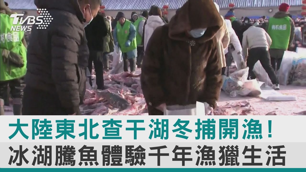 【圖文故事】大陸東北查干湖冬捕開漁! 冰湖騰魚體驗千年漁獵生活｜TVBS新聞