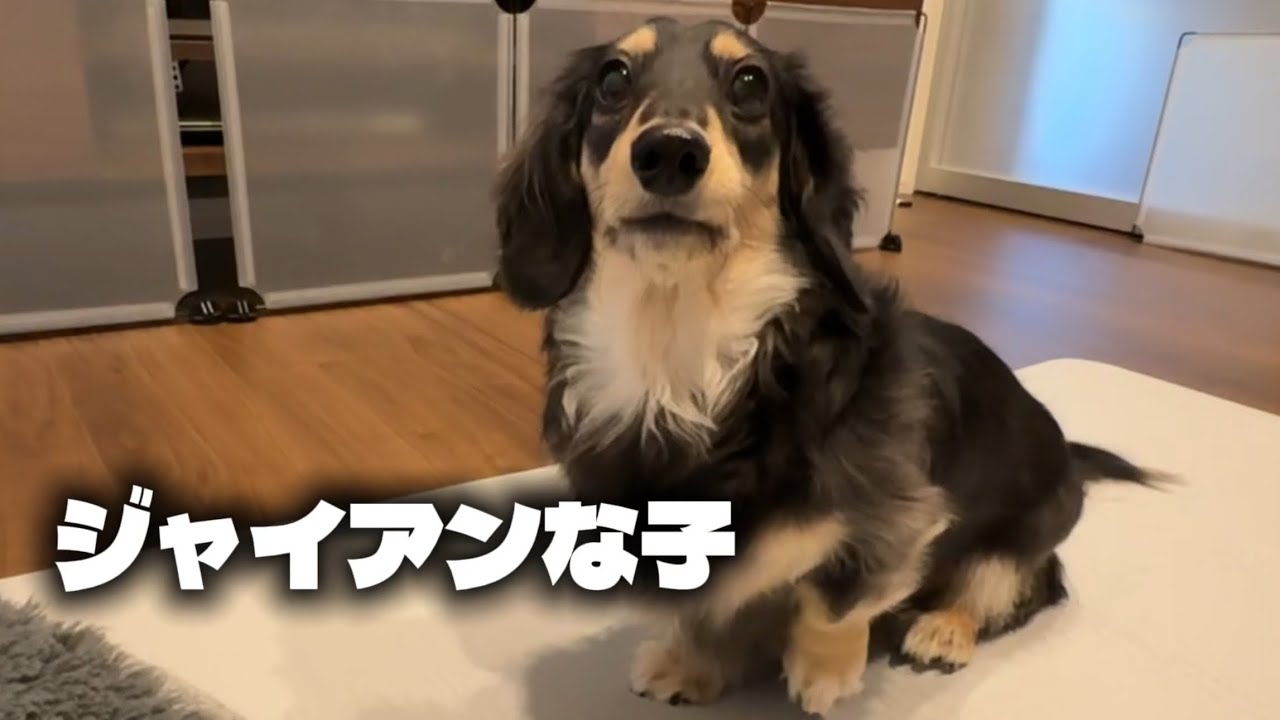 欲しがりでわがままジャイアンチャレンジャーな子