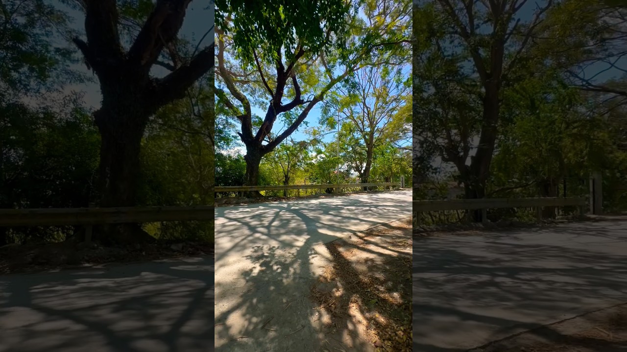 1 HECTARE ALONG NATIONAL HIGHWAY-  CORNER LOT  - 8M ONLY- JALA JALA RIZAL - TITLED  #cheaphugelots