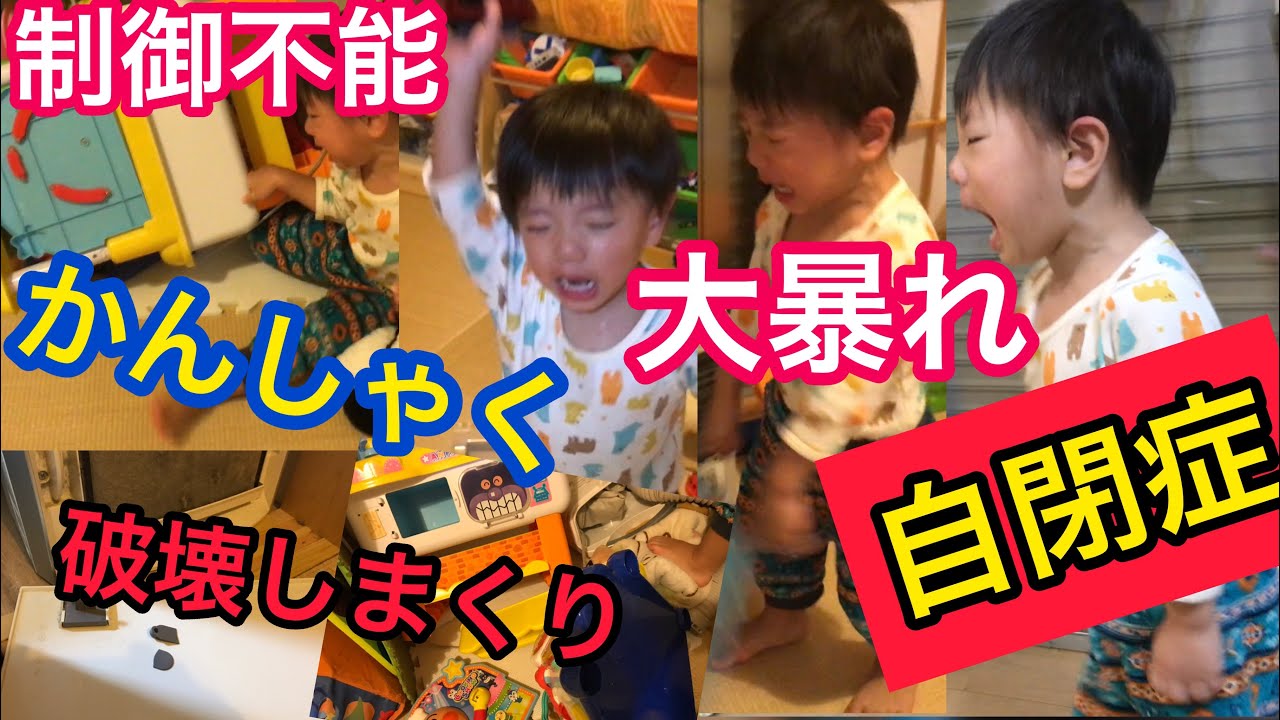 【自閉症癇癪】兄弟が怪我…危険すぎる！？ASD/autism 大暴れ