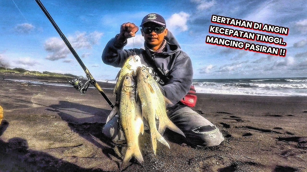 Adu skill keakuratan lemparan umpan dengan kecepatan angin..!! Ikan agresif makan di titik terjauh.
