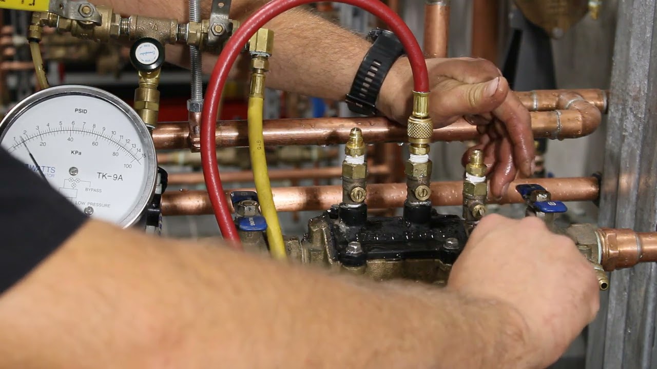 ZURN WILKINS 350 Double Check Valve Assembly