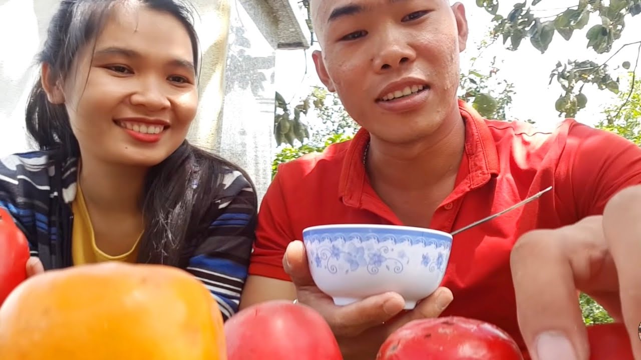 Ra Vườn Hái Hồng Ăn Tại Chổ Trên Cây|Đặc Sản Dalat