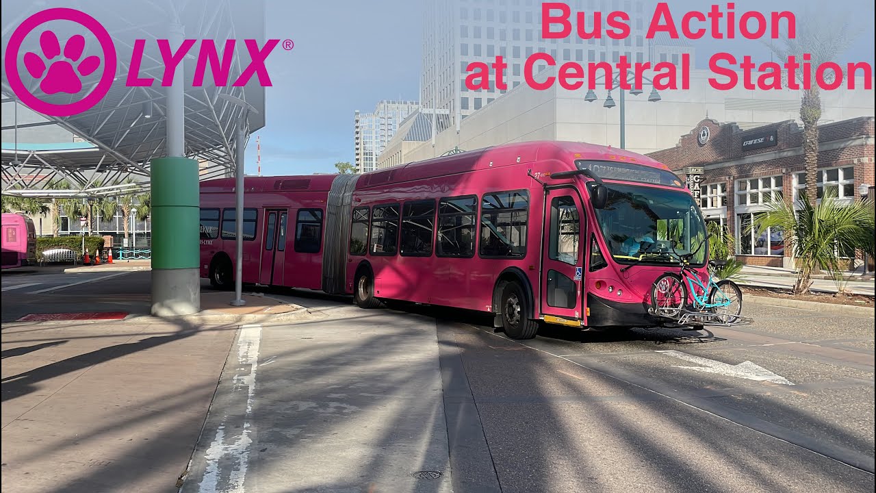 LYNX: Bus Action at Central Station Bus Terminal