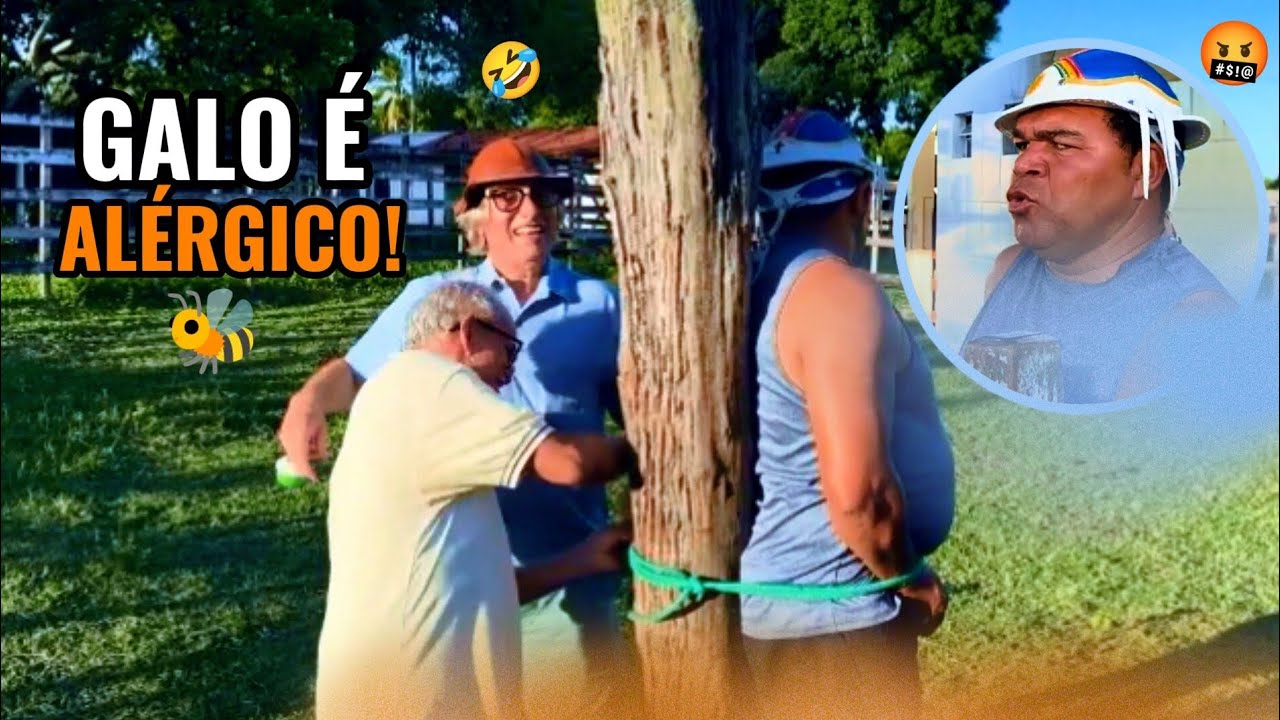 MUÇÃO TROLA GALO COM SOM DE ABELHAS 🤣