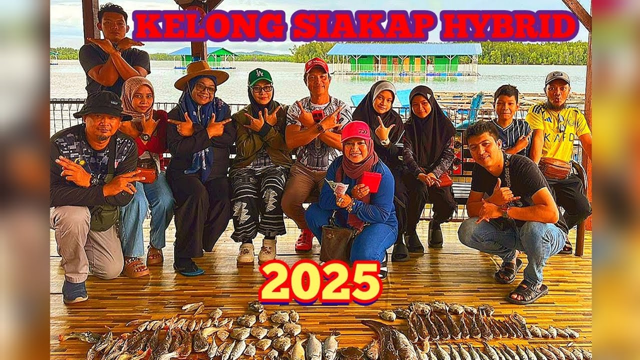 KELONG SIAKAP HYBRID TELUK BAYU TERBARU NO 3,4