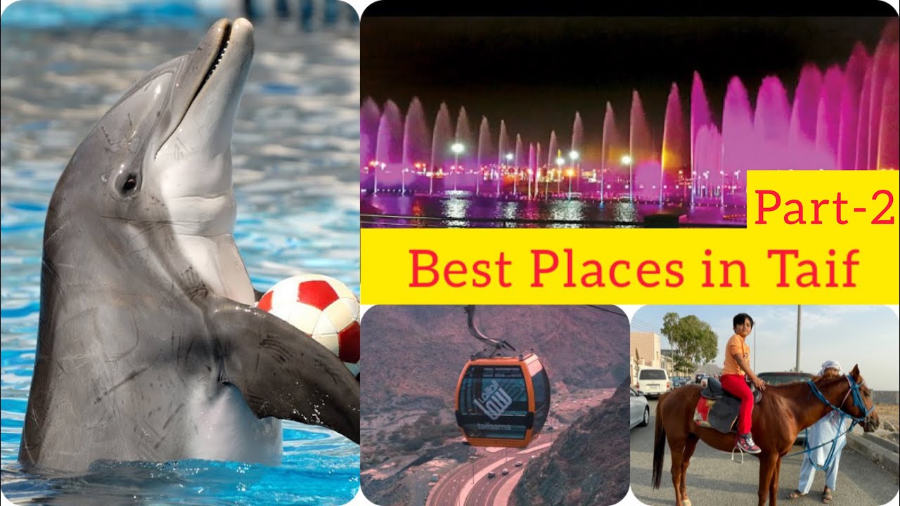 5 BEST PLACES TO VISIT IN TAIF || PART - 2 || Taif Tourism