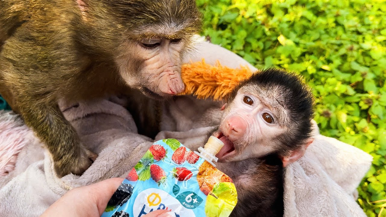 Николь ВПЕРВЫЕ ПРОБУЕТ ПЮРЕШКУ, малышке понравилось🥰