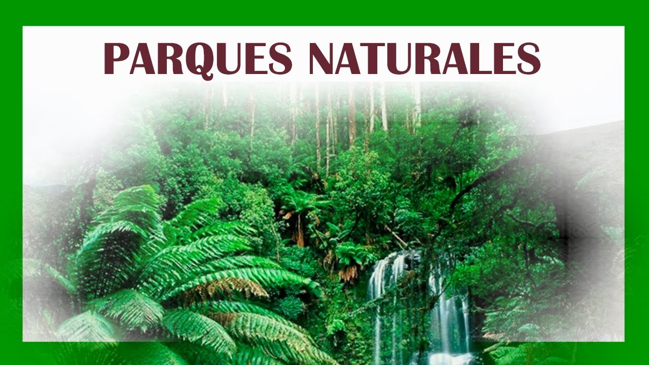 Qu&eacute; son los PARQUES NATURALES 🐘🌎🐝 y cu&aacute;l es su importancia