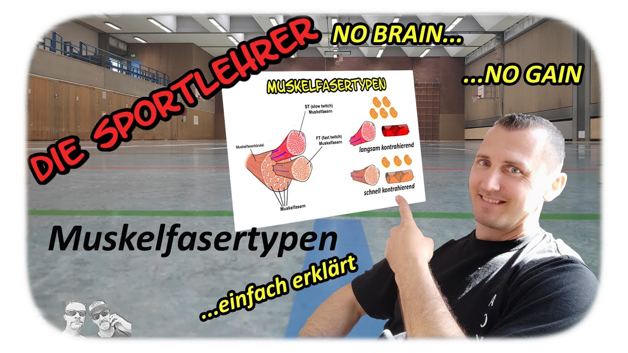 Muskelfasertypen - einfach erklärt