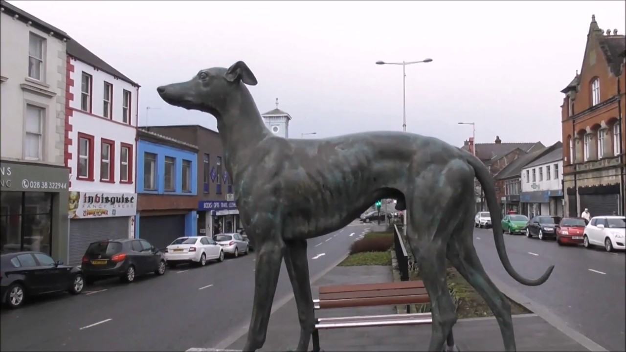 Most Famous Greyhound in the World, Master McGrath, Lurgan