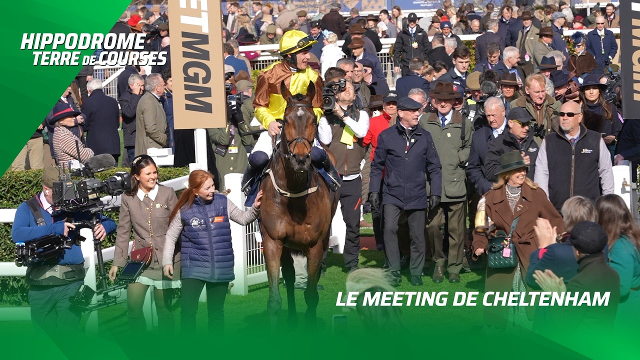 REPORTAGE : LE MEETING DE CHELTENHAM