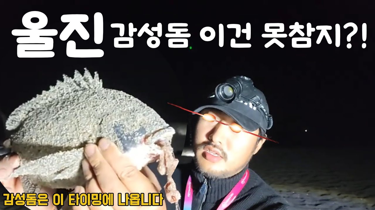 경북 울진 유명한 감성돔 원투낚시 핫 포인트에서 안주 잡아왔습니다