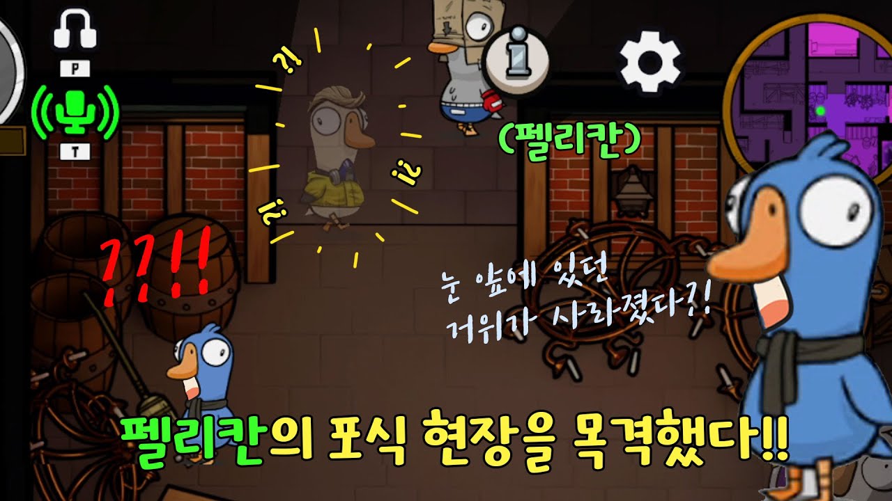 장의사로 펠리칸 먹방 직관했습니다☆  (구스구스덕, 덕몽어스)