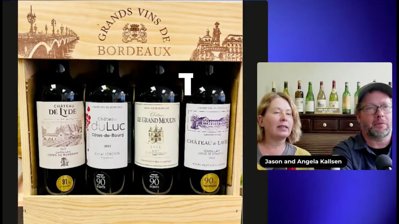 Costco Bordeaux Box: is it worth it?
