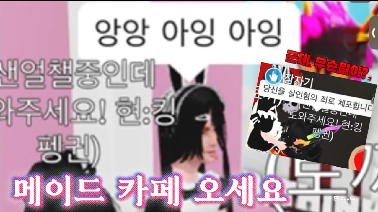 입양하세요 메이드카페로 오세요 공주 왕자님들