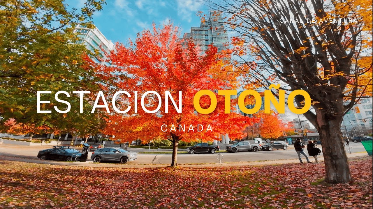 Así se Vive el Otoño en Vancouver 🍂 Un Paseo naranjo