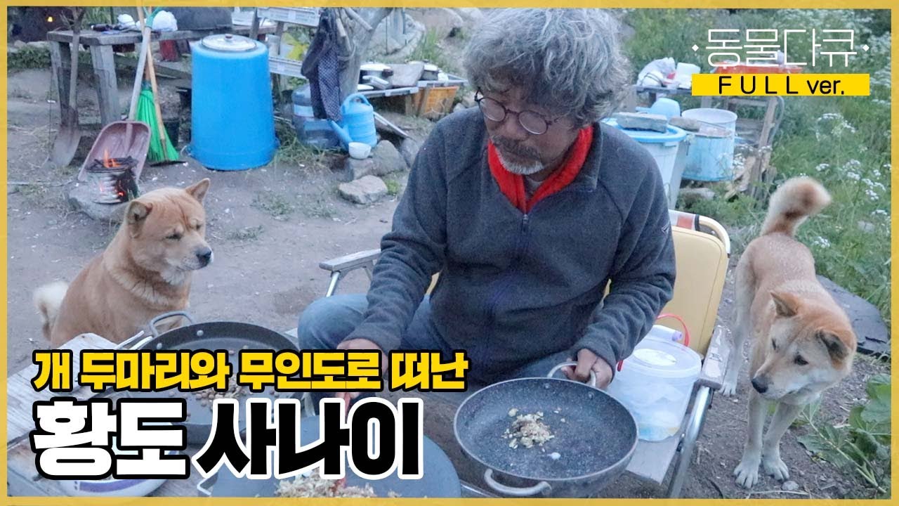 [풀버전] 물도 없고 전기도 없는 무인도에 맨몸으로 들어와 살고 있는 남자?! 사업 실패 후 강아지들과 함께 무인도로 떠난 사나이 | 동물극장 단짝 EP19 | KBS 220604