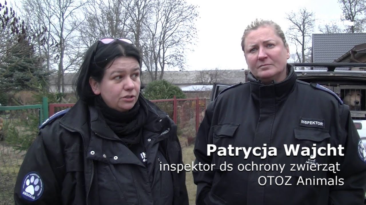 W Połczynie zabrali psy. Wstrząsająca interwencja OTOZ Animals Puck