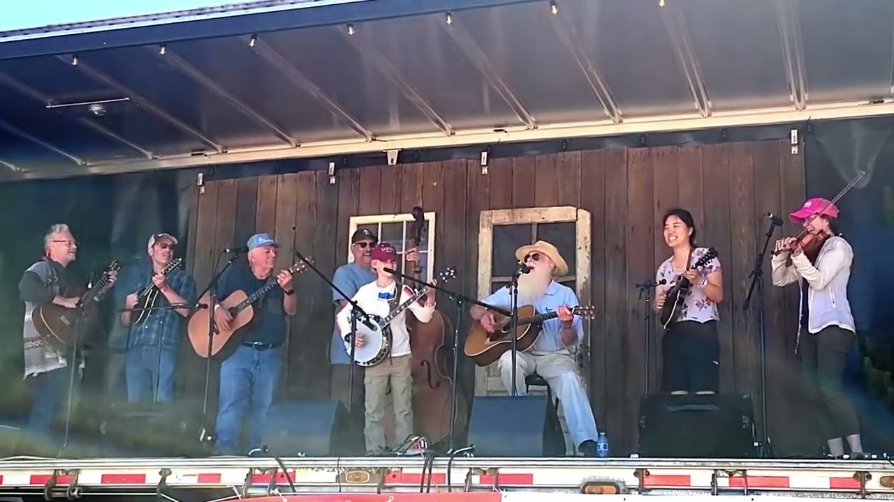 Roll In My Sweet Baby's Arms (Bluegrass from the Forest)