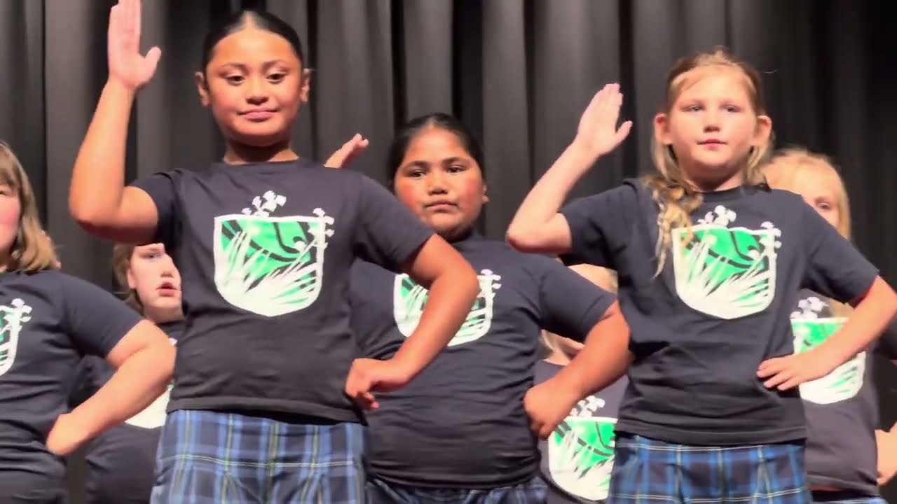Lakeview Cultural Night 2025
