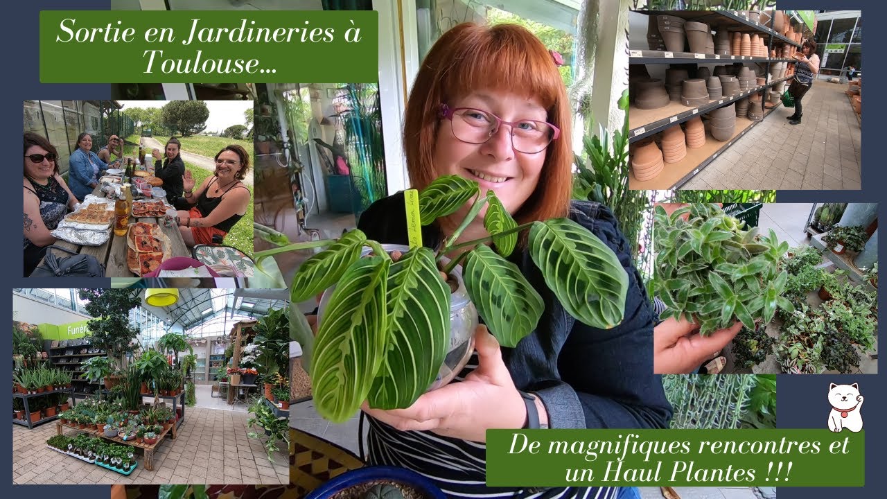 Sortie en jardineries à Toulouse🌿De magnifiques rencontres et un super Haul Plantes 🌿