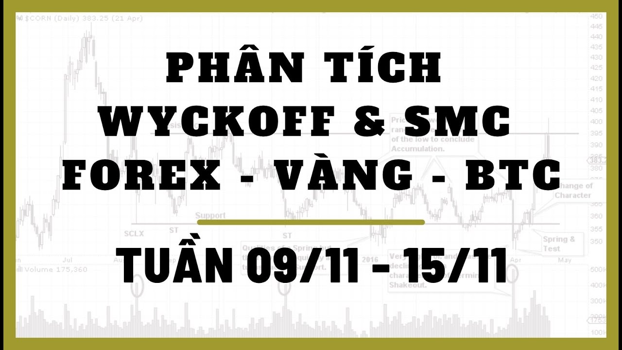 ✅Phân Tích FOREX - VÀNG - BITCOIN Tuần 09/11-15/11 Theo Phương Pháp WYCKOFF & SMC | TraderViet