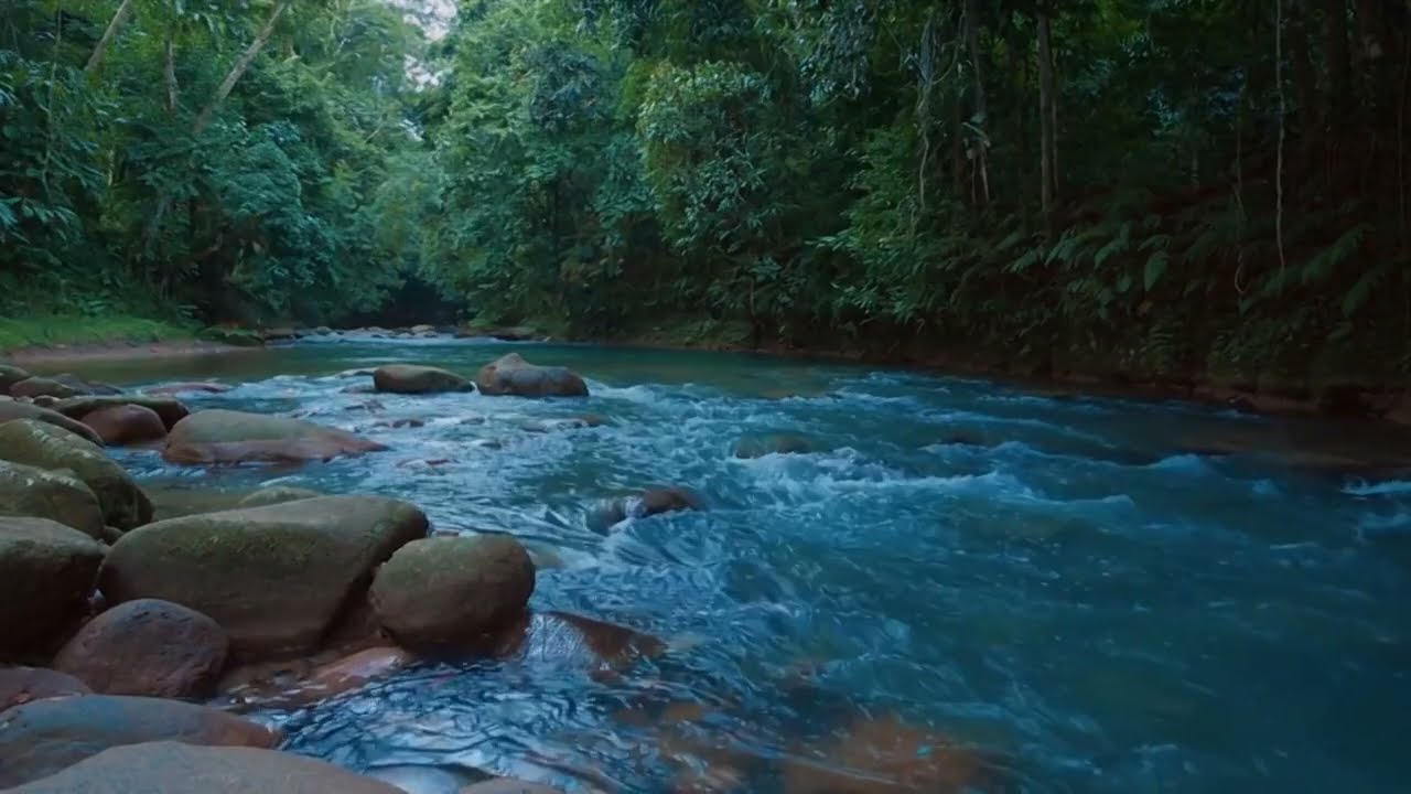 Peaceful River Flow in Deep Forest 🌿 Natural Water Sounds for Relaxation, Sleep & Stress Relief
