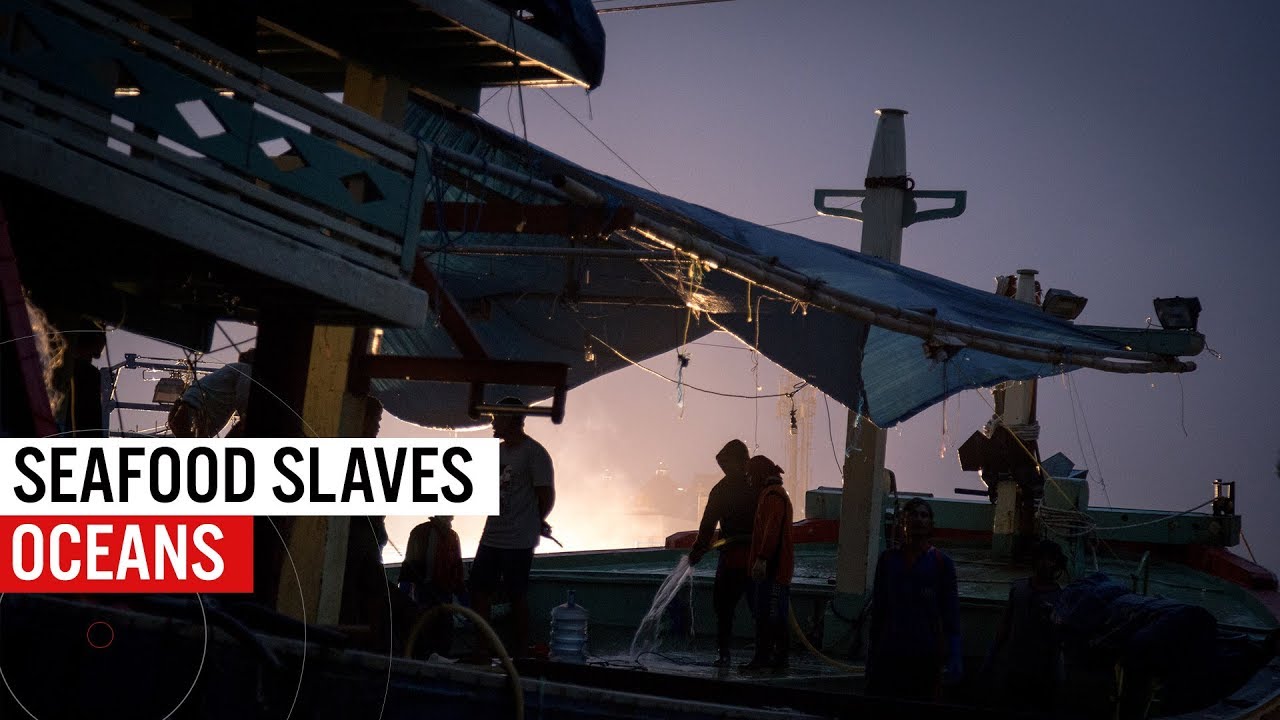 Seafood Slaves: Overfishing, Illegal Fishing & Human Rights Abuses