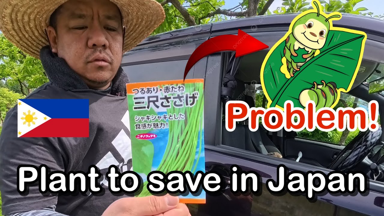 Biggest Problem in My Garden | Filipino Single Father in Japan