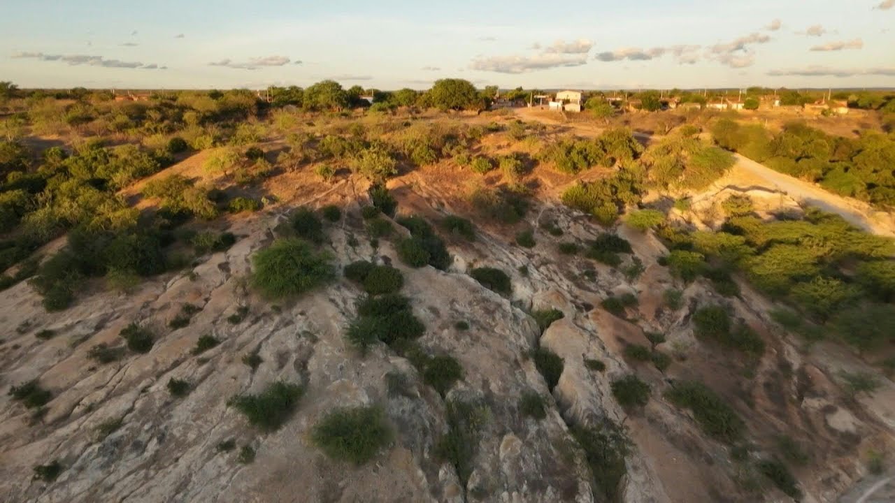 Agroecologia, uma arma contra a desertificação na Caatinga | AFP