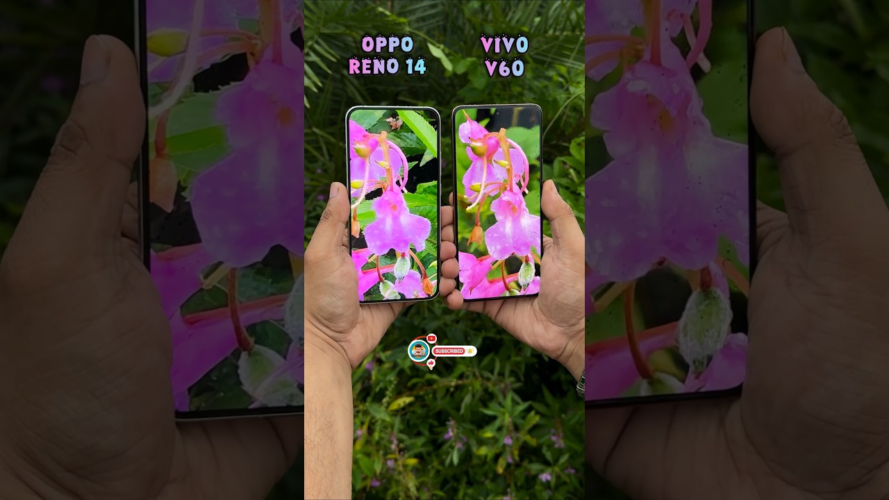 Oppo Reno 14 Vs Vivo V60 Camera Compare
