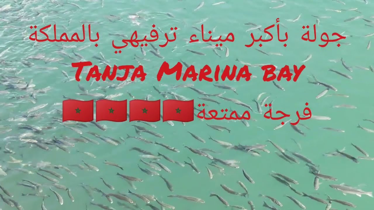 Tanja Marina Bay جولة باكبرميناء ترفيهي بالمملكة... 27-01-2023