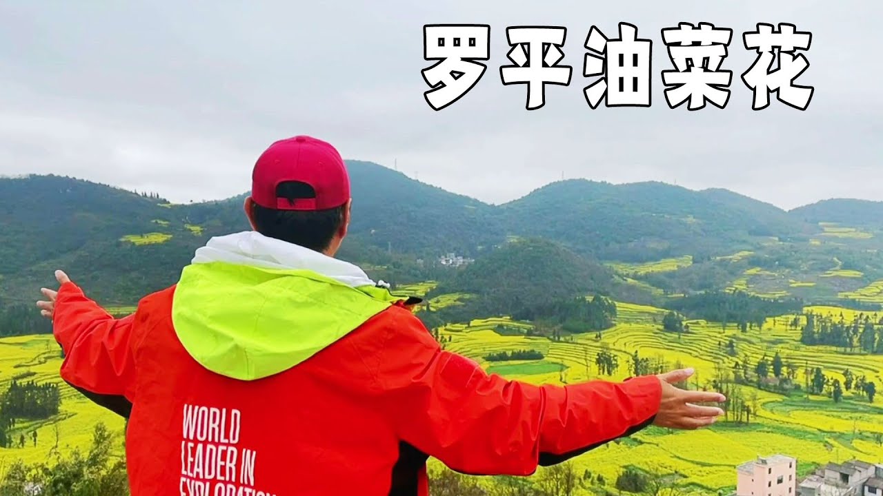 罗平的油菜花正在盛开，螺丝田的油菜花与众不同，太美了【行走世界的北京老刘】