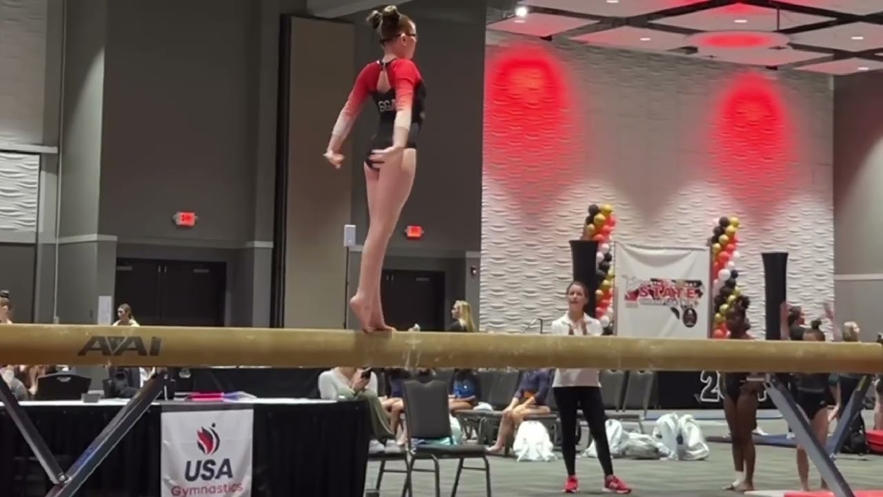 Gymnastics State Meet 2024 Xcel Gold