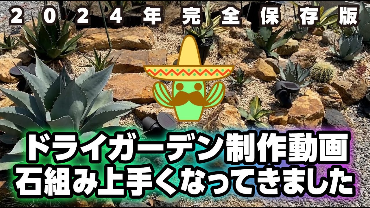 【2024ドライガーデンDIY】みかも石で階段作ってリガーデンしました！！#アガベ #ドライガーデン #多肉植物