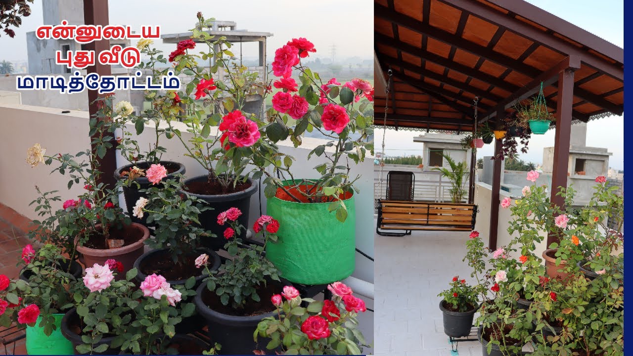 என்னுடைய புது வீடு மாடித்தோட்டம்  | My New Terrace garden tour | My terrace rose Garden