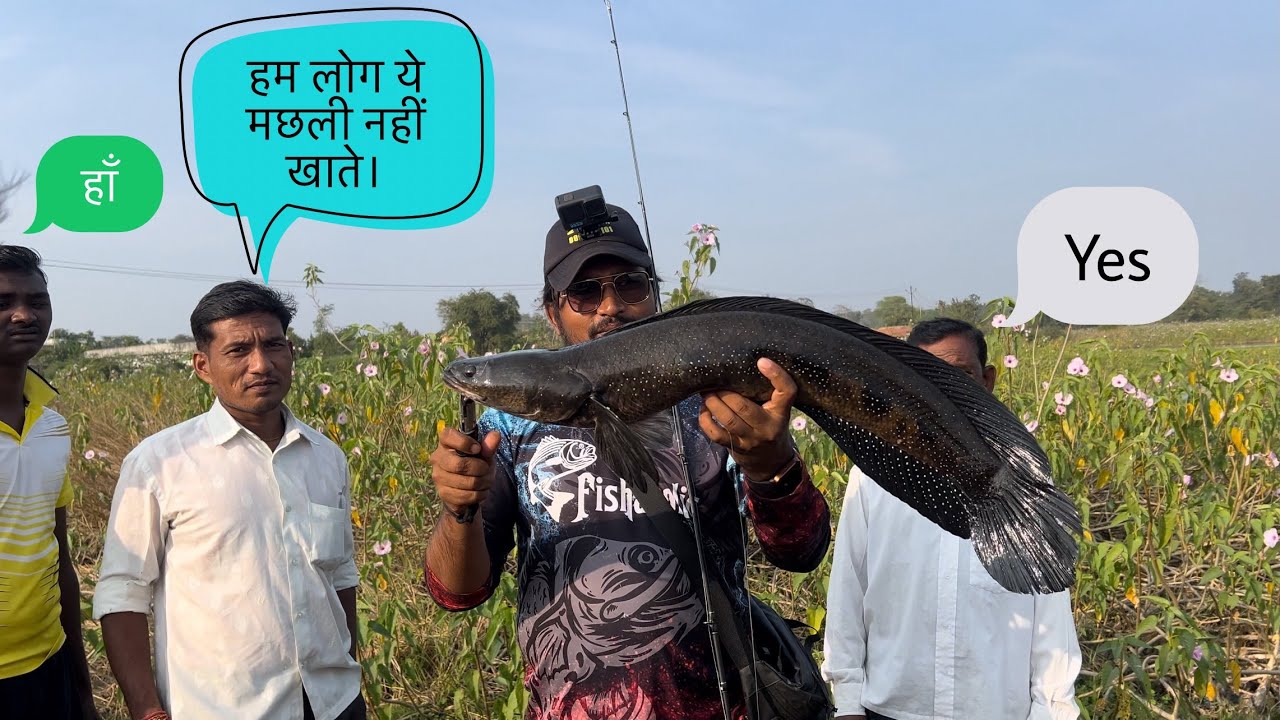 यहां के लोग यह मछली नहीं खाते। Bullseye snakehead fish