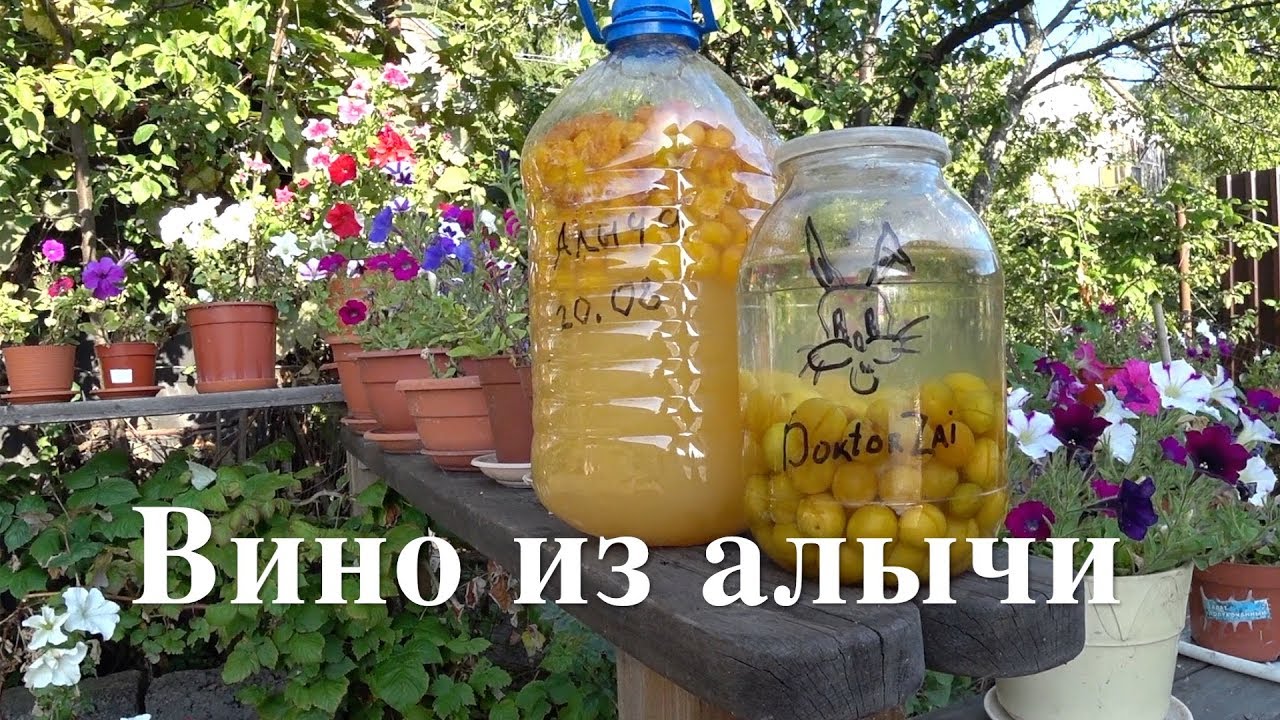 ДОМАШНЕЕ  ВИНО из АЛЫЧИ + АЛЫЧЕВАЯ НАСТОЙКА. Босяцкая кухня.