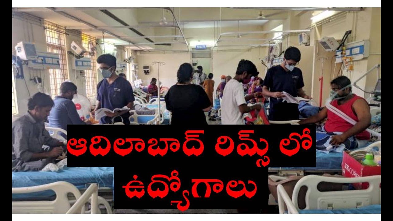 ఆదిలాబాద్ రిమ్స్ లో ఉద్యోగాలు | Job Notification in RIMS - Adilabad | PMR News
