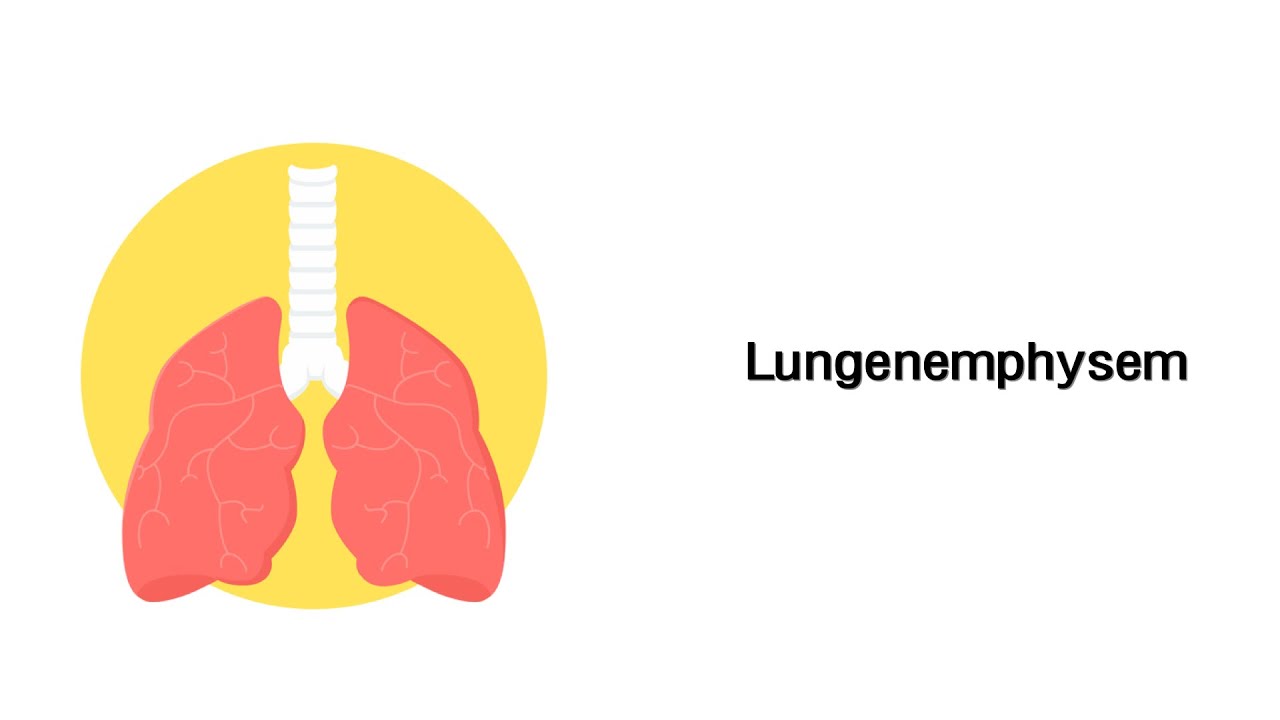 Lungenemphysem - Erkrankungen der Atemwege