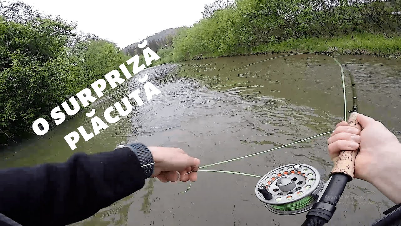 PESCUIT la MUSCA - debut de SEZON 2020 cu SURPRIZE placute