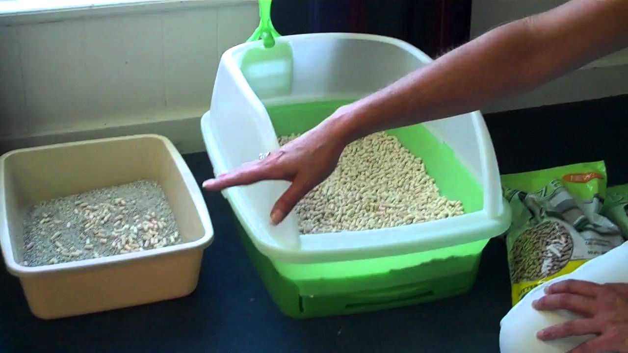 Exploring the Breeze Litter System