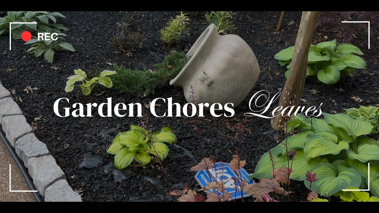 Spring Garden Chores | Clearing out leaf debris