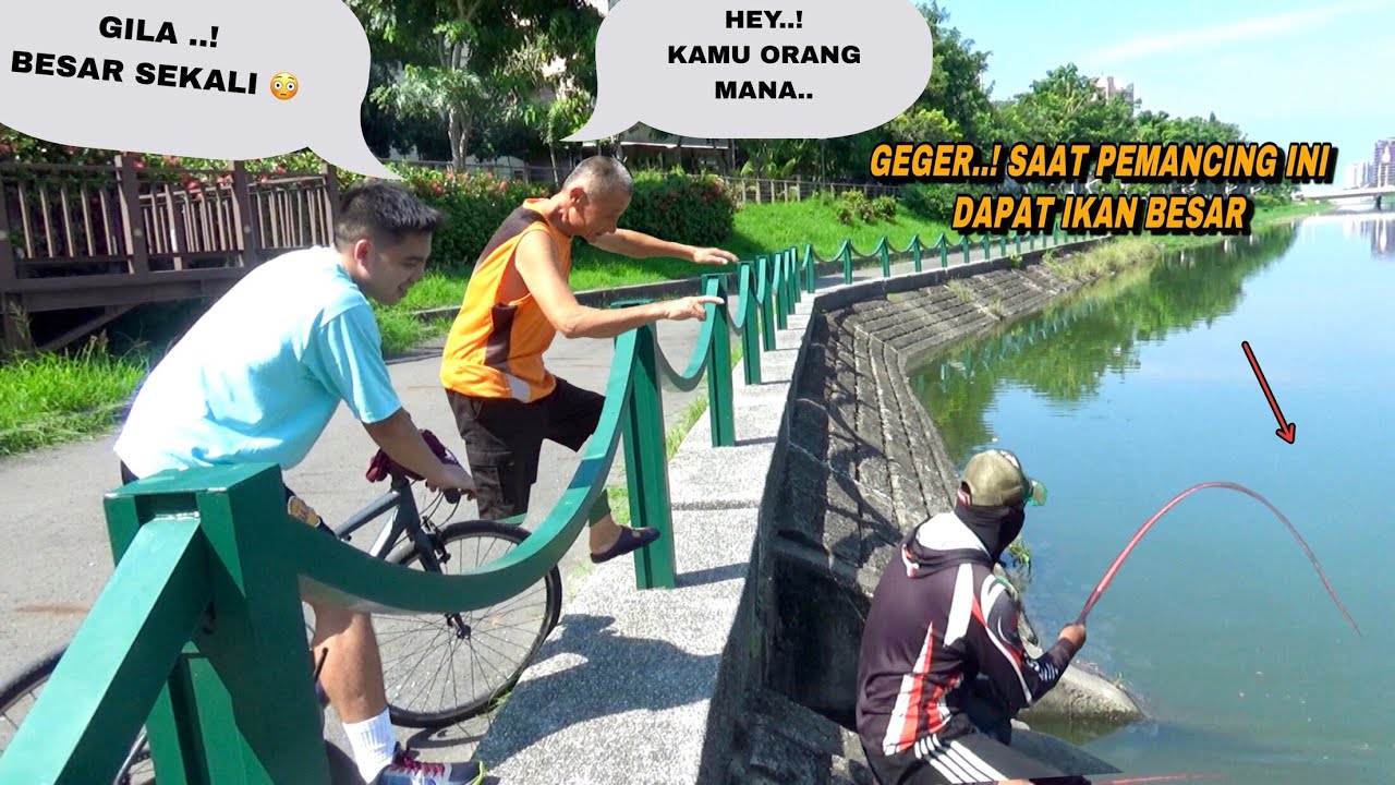 Sampai pada melongo lihat saya strike terus mancing di sungai liar