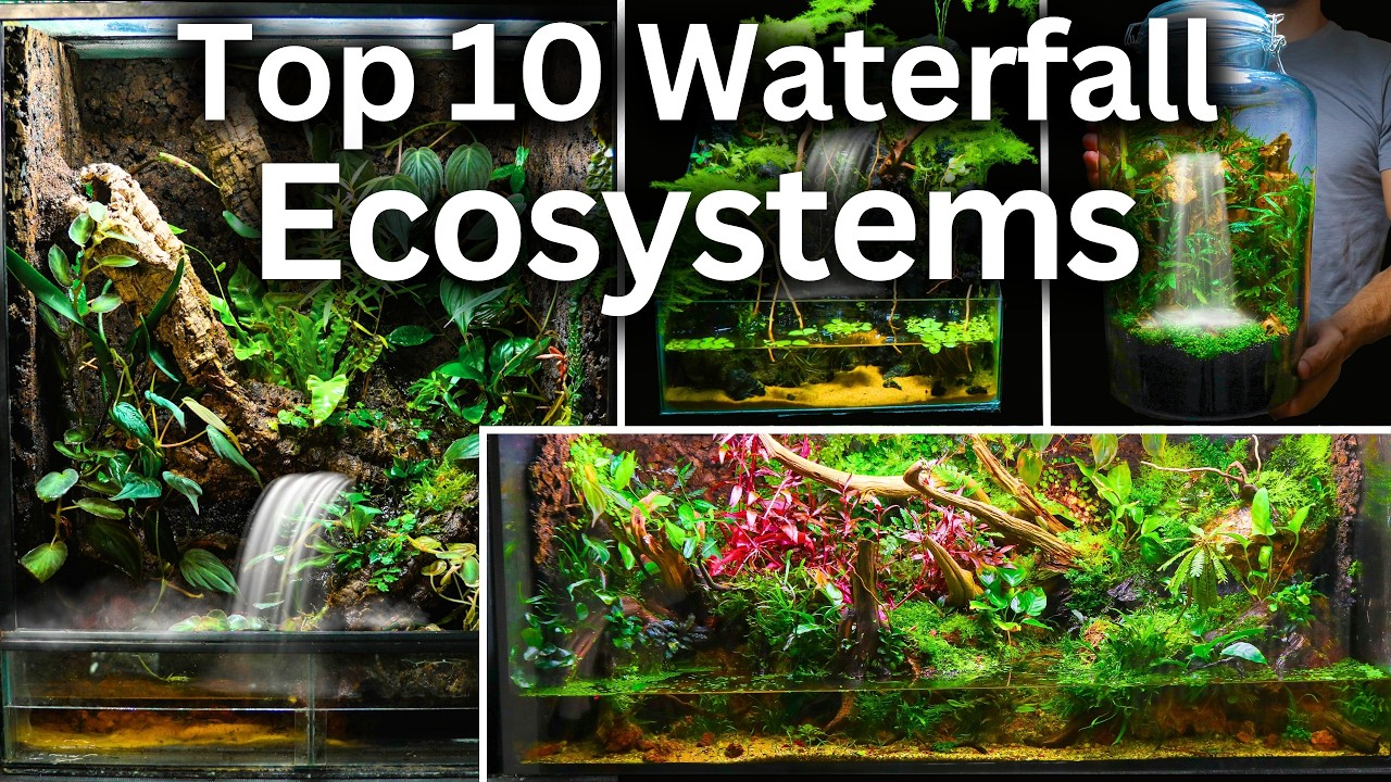 My Top 10 Waterfall Ecosystem Builds!