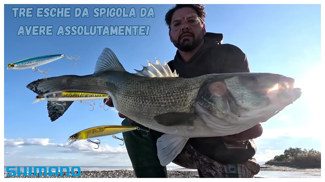 TRE esche da SPIGOLA da avere ASSOLUTAMENTE! @SaverioDeAngelis87