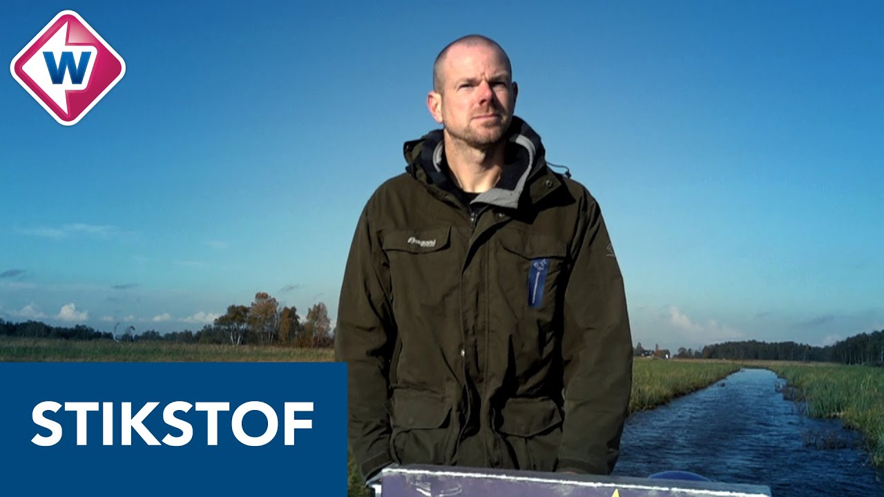 Natuurorganisaties laten zien wat de gevolgen zijn van te veel stikstof - OMROEP WEST