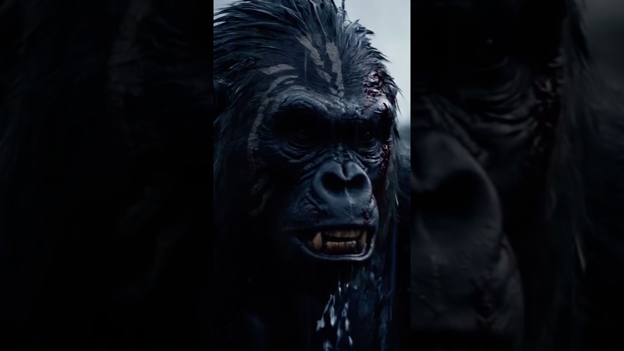 Deadly Fight between a Gorilla and Prehistoric Human millions years ago #greatapes #primatology