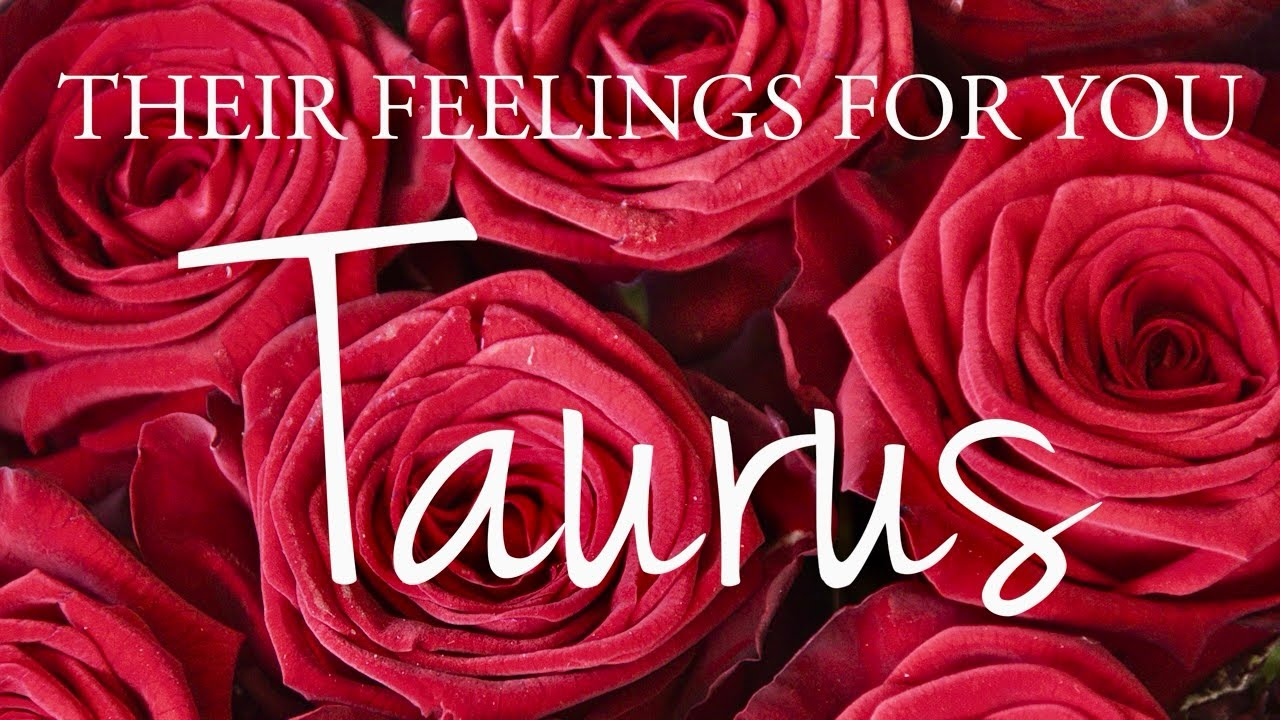 TAURUS love tarot ♉️ Someone Who Wants To Tell You The Truth ✨ You Need To Hear This Taurus